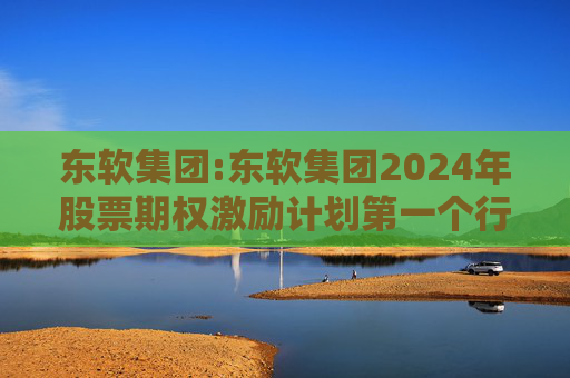东软集团:东软集团2024年股票期权激励计划第一个行权期2025年第四季度自主行权结果暨股份变动的公告