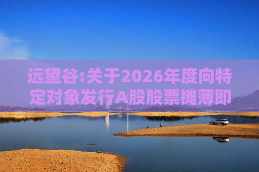 远望谷:关于2026年度向特定对象发行A股股票摊薄即期回报及填补措施和相关主体承诺的公告