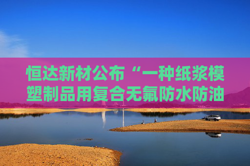 恒达新材公布“一种纸浆模塑制品用复合无氟防水防油剂的制备方法”专利 第1张 恒达新材公布“一种纸浆模塑制品用复合无氟防水防油剂的制备方法”专利 第1张
