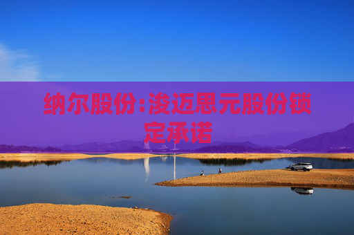 纳尔股份:浚迈思元股份锁定承诺  第1张
