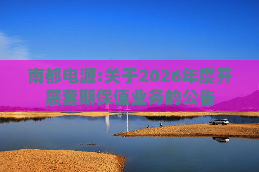 南都电源:关于2026年度开展套期保值业务的公告