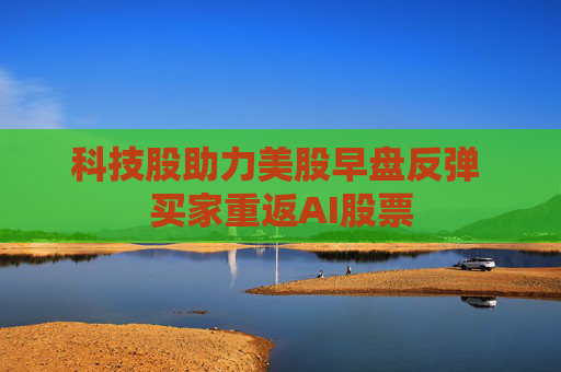 科技股助力美股早盘反弹 买家重返AI股票