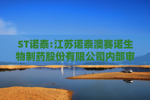 ST诺泰:江苏诺泰澳赛诺生物制药股份有限公司内部审计管理制度