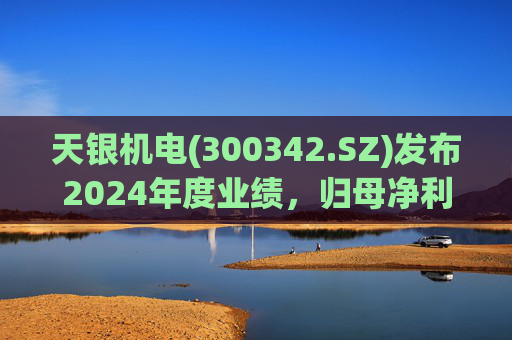 天银机电(300342.SZ)发布2024年度业绩,归母净利润9040.74万元,同比增长175.80%