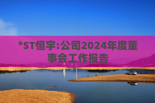 *ST恒宇:公司2024年度董事会工作报告