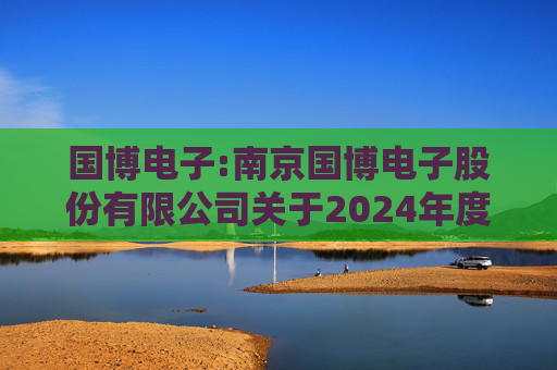国博电子:南京国博电子股份有限公司关于2024年度募集资金存放与使用情况的专项报告