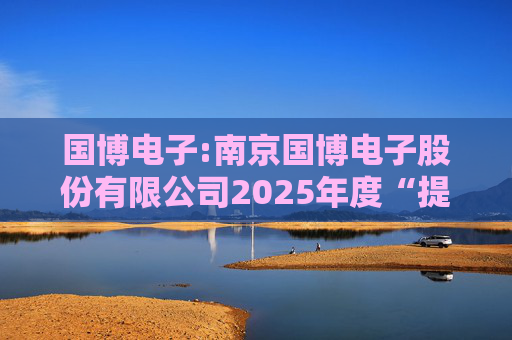 国博电子:南京国博电子股份有限公司2025年度“提质增效重回报”行动方案