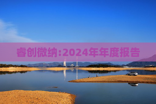 睿创微纳:2024年年度报告  第1张