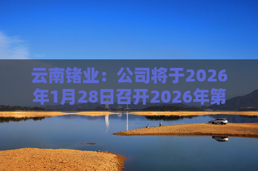 云南锗业：公司将于2026年1月28日召开2026年第一次临时股东会