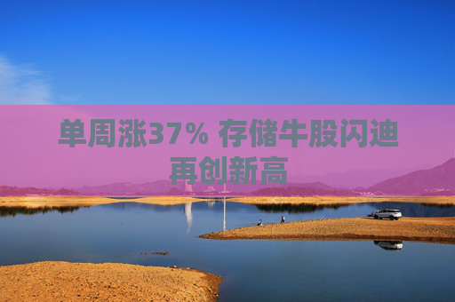 单周涨37% 存储牛股闪迪再创新高
