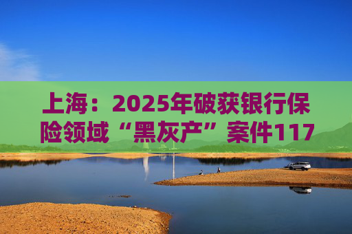 上海:2025年破获银行保险领域“黑灰产”案件117起 持续净化金融生态