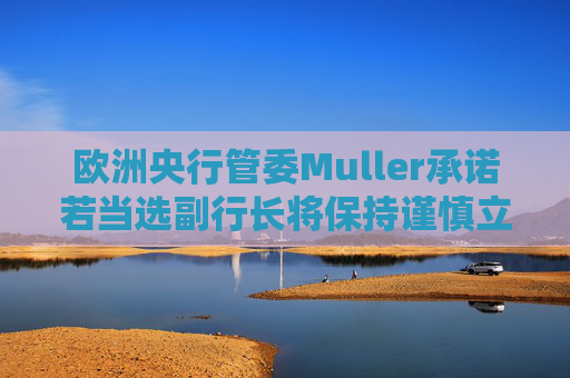 欧洲央行管委Muller承诺若当选副行长将保持谨慎立场  第1张