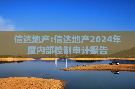信达地产:信达地产2024年度内部控制审计报告