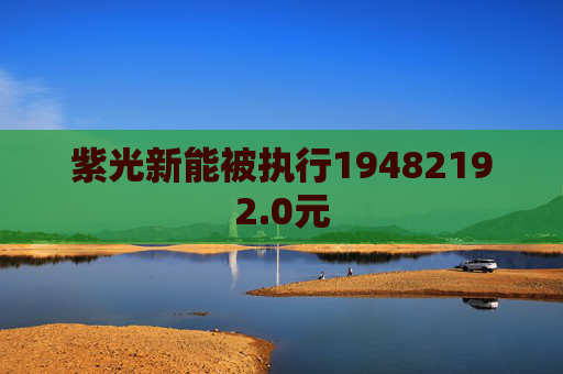 紫光新能被执行19482192.0元