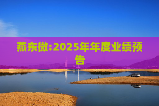 燕东微:2025年年度业绩预告