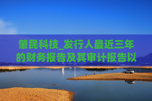 肇民科技_发行人最近三年的财务报告及其审计报告以及最近一期的财务报告(申报稿)