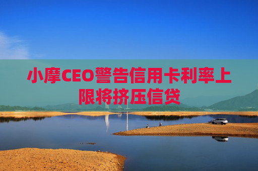 小摩CEO警告信用卡利率上限将挤压信贷