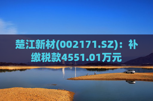 楚江新材(002171.SZ)：补缴税款4551.01万元  第1张