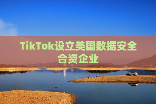 TikTok设立美国数据安全合资企业