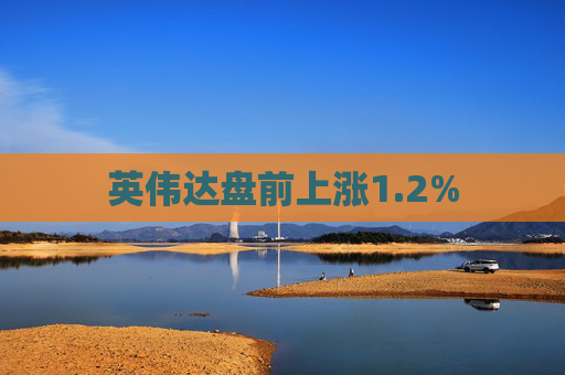 英伟达盘前上涨1.2%