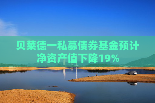 贝莱德一私募债券基金预计净资产值下降19%