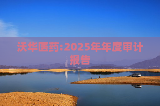 沃华医药:2025年年度审计报告