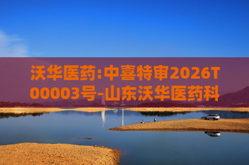 沃华医药:中喜特审2026T00003号-山东沃华医药科技股份有限公司-关联资金占用报告