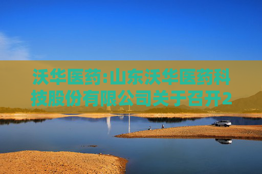 沃华医药:山东沃华医药科技股份有限公司关于召开2025年度股东会的通知