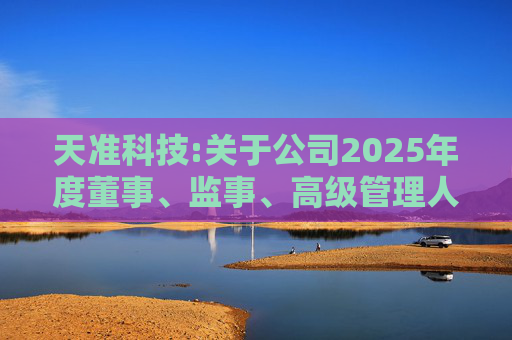 天准科技:关于公司2025年度董事、监事、高级管理人员薪酬方案的公告  第1张