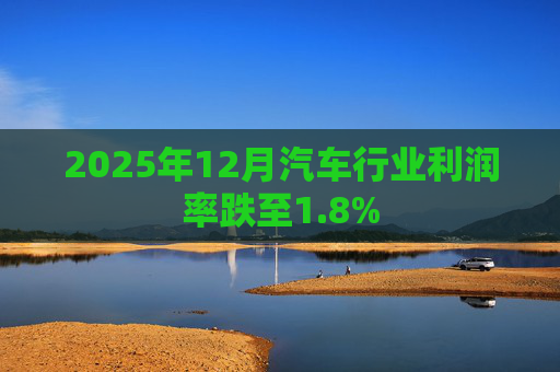 2025年12月汽车行业利润率跌至1.8%