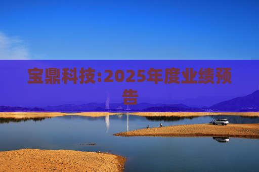 宝鼎科技:2025年度业绩预告