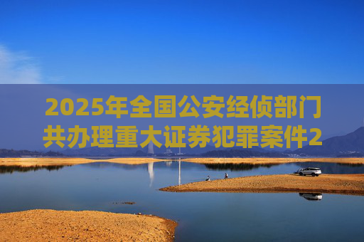 2025年全国公安经侦部门共办理重大证券犯罪案件200余起