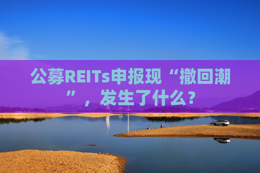 公募REITs申报现“撤回潮”，发生了什么？