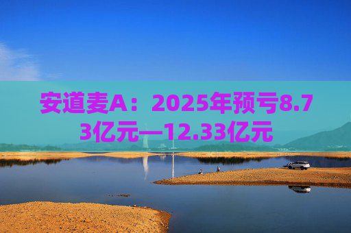 安道麦A：2025年预亏8.73亿元—12.33亿元