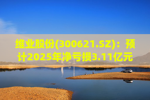 维业股份(300621.SZ)：预计2025年净亏损3.11亿元―4.04亿元
