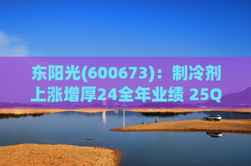 东阳光(600673):制冷剂上涨增厚24全年业绩 25Q1业绩略超预期 液冷与具身智能共创未来 第1张 东阳光(600673):制冷剂上涨增厚24全年业绩 25Q1业绩略超预期 液冷与具身智能共创未来 第1张