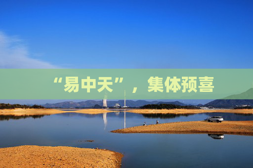 “易中天”，集体预喜