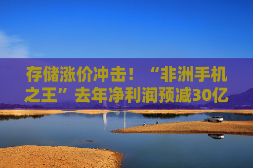 存储涨价冲击！“非洲手机之王”去年净利润预减30亿元