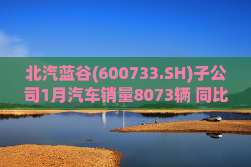 北汽蓝谷(600733.SH)子公司1月汽车销量8073辆 同比增长11.83%