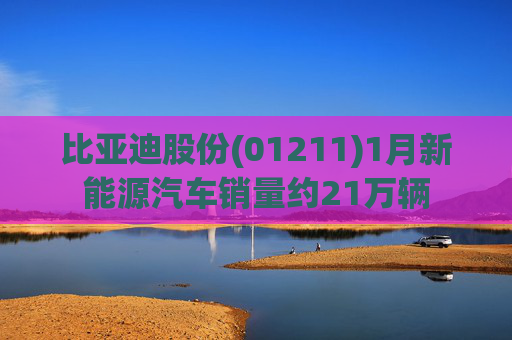 比亚迪股份(01211)1月新能源汽车销量约21万辆