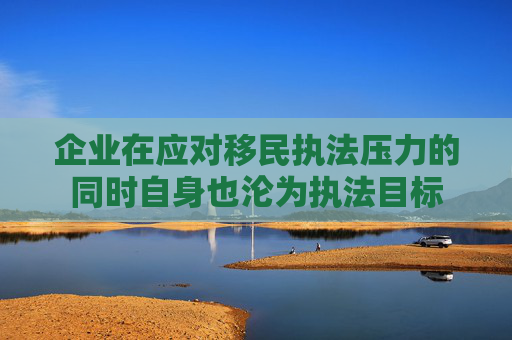 企业在应对移民执法压力的同时自身也沦为执法目标