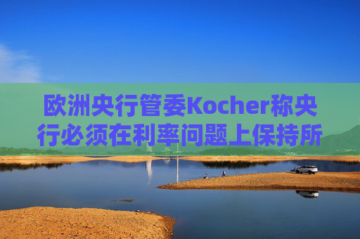 欧洲央行管委Kocher称央行必须在利率问题上保持所有选项开放  第1张