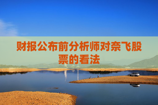 财报公布前分析师对奈飞股票的看法