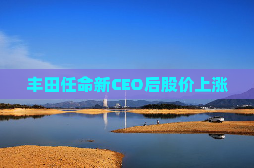 丰田任命新CEO后股价上涨