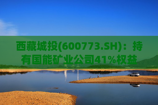 西藏城投(600773.SH)：持有国能矿业公司41%权益