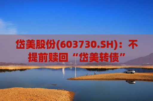 岱美股份(603730.SH):不提前赎回“岱美转债” 第1张 岱美股份(603730.SH):不提前赎回“岱美转债” 第1张