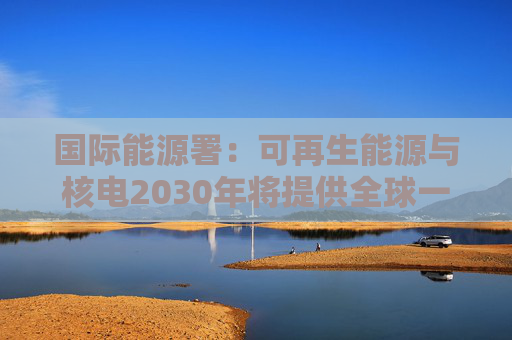 国际能源署：可再生能源与核电2030年将提供全球一半电力