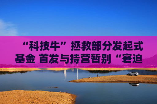 “科技牛”拯救部分发起式基金 首发与持营暂别“窘迫”