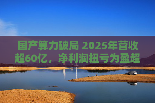 国产算力破局 2025年营收超60亿，净利润扭亏为盈超18亿