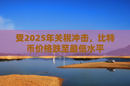 受2025年关税冲击，比特币价格跌至最低水平